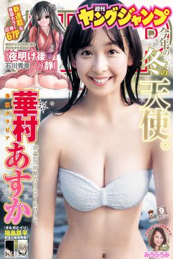 猎罪图鉴电视剧免费观看完整版